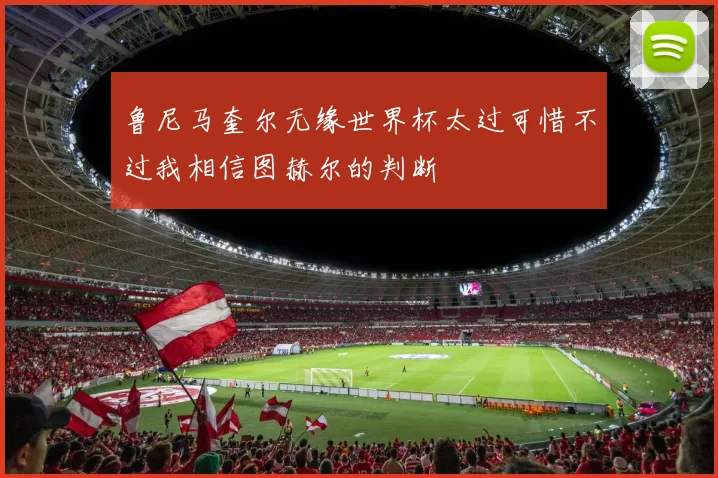 鲁尼马奎尔无缘世界杯太过可惜不过我相信图赫尔的判断
